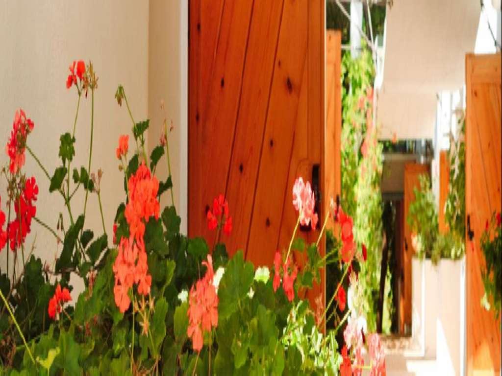 Domina Home Kyrie Isole Tremiti Tiện nghi bức ảnh